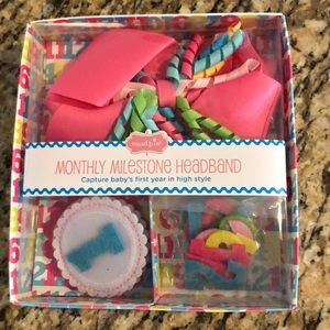 Monthly Milestone Headband